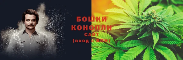спиды Богородск