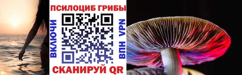 Галлюциногенные грибы прущие грибы  Бирюч 